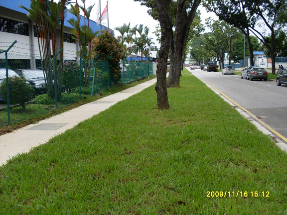 neythal-road-completed-drain-and-turfing-2