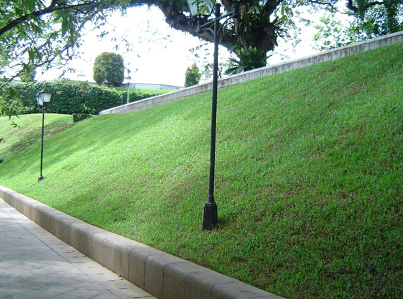 slope-stabilized-at-fort-canning-park